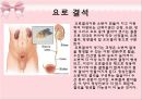 급성 신부전 대상자 (Post renal AKI) 케이스 스터디 case study.pptx 31페이지