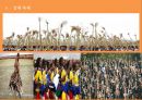 아프리카 문화 축제 분석 26페이지