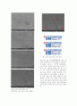 Al-Si 합금 주조 실험(논문형식) SEM 및 EDS 분석 자료 포함 11페이지