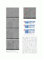 Al-Si 합금 주조 실험(논문형식) SEM 및 EDS 분석 자료 포함 14페이지