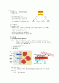 만성신부전 (CRF : Chronic renal failure) 케이스 스터디 - 진단명 : CRF(Cronic renal failure 만성신부전) With ESRD(End stage renal disease)말기신장질환 4페이지