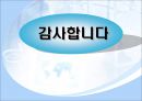 국제기업의 조직과 통제  52페이지