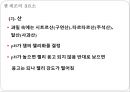 과일및채소류의 가공(식품가공기술, 고등학생대상, 학습지도안, 기술가정과수업안, 수업지도안, 교생실습) PPT 10페이지