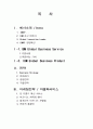 글로벌 IBM 경영전략  2페이지