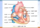 심혈관계 질환(임상영양학, 심장의구조, 고혈압, 이상지혈증, 동맥경화증, 심장질환, 뇌졸증) PPT, 파워포인트 3페이지