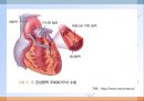 심혈관계 질환(임상영양학, 심장의구조, 고혈압, 이상지혈증, 동맥경화증, 심장질환, 뇌졸증) PPT, 파워포인트 66페이지