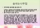 아름다운 건축사례(자연친화적건축물, 볏집생태주책, 황토주택, 나무주택, 친환경주택) PPT, 파워포인트 15페이지