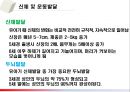 유아기발달(유아기아동발달, 신체및운동발달, 인지발달, 사회정서발달) PPT, 파워포인트 3페이지