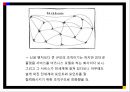 IT 기업의 조직구조비교-구글마케팅사례,마이크로소프트 마케팅,페이스북마케팅,페이스북,브랜드마케팅,서비스마케팅,글로벌경영,사례분석,swot,stp,4p 8페이지