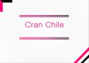 [크랜 칠레 Cran Chile] 크랜베리 주스 생산업체 - 오션스프레이(Ocean Spray) (크랜 베리(Cranberry), 크랜베리 주스, 오션스프레이, 크랜칠레의 생산성, 크랜베리 산업의 현황, 크랜베리 시장확대).pptx 1페이지