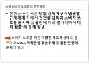 입법 예고된 금융소비자 보호법의 주요 내용과 세계의 금융소비자 보호제도 및 우리나라 금융시스템이 미치는 영향 (금융소비자 보호법의 추진배경, 금융소비자 보호법의 제정 필요성).pptx 3페이지