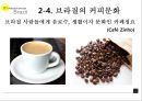브라질의 커피문화,브라질 커피시장,브라질 커피산업 진출,커피 글로벌마케팅 사례,브랜드마케팅,서비스마케팅,글로벌경영,사례분석 11페이지