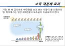 교육예산과 무상급식 (무상급식의 정치적 논란, 경제적 효용으로 보는 무상급식, 해외 무상급식 사례).pptx 18페이지