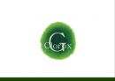 『클로록스 (Clorox)』 Brita , Burt’s Bee , Green Works 미국의 생활용품·식품 제조 업체, 프리미엄 제조&판매, 소비자딜레마, 공급자딜레마.pptx 1페이지