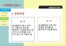 [언어의 이해] 「성별언어」 남녀의 언어, 남녀 언어 차가 생기는 이유, 남녀 언어의 차이, 성차별 언어, 차별어와 차이어, 차별어와 차이어의 개념, 생활 속의 성 차별어.pptx 9페이지