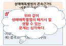 성매매특별법,세계 성매매사례,성매매 사례,성매매 찬반론 ppt 16페이지