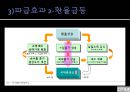 캐리트레이드(Carry Trade) - 캐리트레이드로 인한 단기자본 유출입의 사례와 영향 및 규제방안 (캐리트레이드의 정의 및 유형, 사례로 바라본 캐리트레이드, 정책적 시사점).pptx
 17페이지