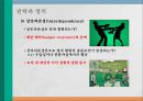 건강관리조직의 권력과 정치 (권력과 정치 개념, 합리모형과 정치모형, 의료조직의 특성, 합리모형 사례-포드 (Ford),도요타(Toyota), 정치모형 사례-협동조합,진주의료원 사태).pptx 10페이지