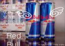 레드불(Red Bull)은 여러분에게 날개를 달아줍니다 (기업 및 제품소개, 기업분석 및 산업분석, 마케팅 성공전략 분석, 한계분석 및 해결방안, SWOT분석, 바이럴 마케팅,이벤트 마케팅,스포츠 마케팅).pptx 1페이지