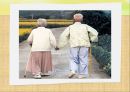 고령화 사회-노년기의 특성,노인 빈곤 문제,노인 빈곤 현황,노인 빈곤의 원인,사회문제,노인범죄,고독사 40페이지