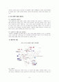 [글로벌 기업환경과 경영] 잠재적 가능성을 가진 신흥국가 조사 - 인도시장 (국가차원에서의 인도 시장, 산업차원에서의 인도 시장, 기업차원에서의 인도 시장, 인도시장에 진출한 다국적 기업의 성공과 실패 사례) 9페이지