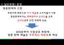 화장품 유통산업- 해외시장진출,국내 화장품 유통경로,저가 화장품,아베노믹스로 인한 국내시장,브랜드마케팅,서비스마케팅,글로벌경영,사례분석,swot,stp,4p 12페이지