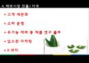 화장품 유통산업- 해외시장진출,국내 화장품 유통경로,저가 화장품,아베노믹스로 인한 국내시장,브랜드마케팅,서비스마케팅,글로벌경영,사례분석,swot,stp,4p 23페이지