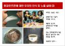 환경호르몬의 종류,환경호르몬의 문제점,환경호르몬의 특성,다이옥신,DDT,비스페놀A,프탈레이트,PCB,환경호르몬의 예방법 ppt 12페이지