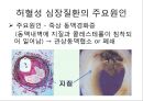 협심증(angina pectoris)간호과정 PPT 4페이지