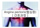 협심증(angina pectoris)간호과정 PPT 17페이지