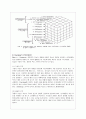 지능이론 레포트 5페이지