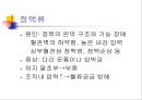 [노인간호] 심혈관계의 노화 (정상적 노화과정, 심혈관계질환, 치료단계, 심혈관질환에 대한 간호중재).ppt 17페이지