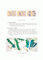 미생물의 세계 - 미생물의 종류와 종류별 특성 15페이지