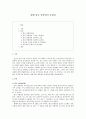 우리말 맞춤법 - 현행 한글 맞춤법의 문제점 1페이지