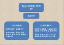 농심 신라면의 중국 진출 성공 사례.ppt 8페이지