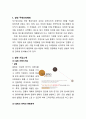 설빙 기업 성공사례분석과 설빙 마케팅전략 분석 및 향후 마케팅방향제안 보고서 3페이지