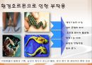 [환경 공학] Environmental Hormone(환경호르몬)에 관해서.ppt 12페이지