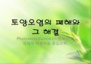 토양오염의 폐해와 그 해결 - Phytoremediation (식물복원)과 정책적 해결책을 중심으로.pptx 1페이지