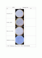 미생물학 실험 - Simple staining(단순염색), Gram staining(그람염색) 실험 5페이지
