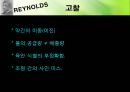 [실험보고서] Reynolds 실험(레이놀즈수).pptx 10페이지