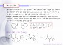 [유기화학실험] Adol Condensation(알돌 축합).ppt
 18페이지