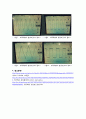 기초전기전자 - 함수 발생기(Function Generator)와 오실로스코프(CSC)를 이용한 교류파형 측정 4페이지