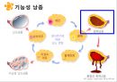 여성실습 난소낭종 케이스 6페이지