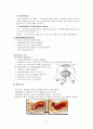  여성간호학실습 NSVD 질분만 자연분만 케이스스터디 6페이지