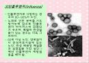 노화와 관련된 호흡기계변화(천식, COPD, 만성기관지염, 폐기종, 폐렴, 질환에 따른 간호) 33페이지