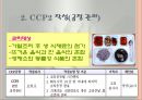 CCP 공정별 기록지 작성법(HACCP관리특론) PPT, 파워포인트, 프리젠테이션 8페이지