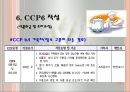 CCP 공정별 기록지 작성법(HACCP관리특론) PPT, 파워포인트, 프리젠테이션 13페이지