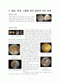 천체 물리학 서론 정리(part2) 13페이지