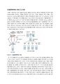 면역학 - 단일클론항체의 원리 및 응용 1페이지