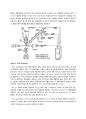 면역학 - 단일클론항체의 원리 및 응용 3페이지